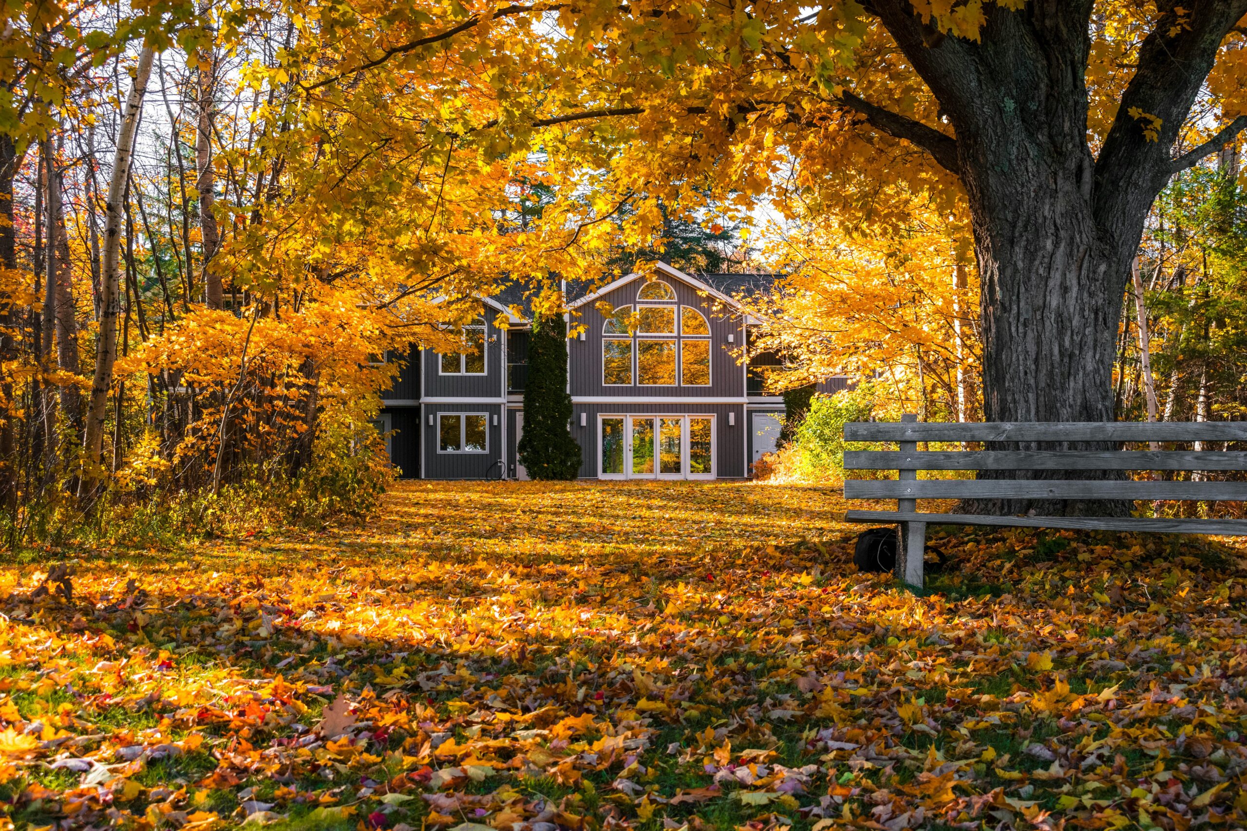 Autumn House